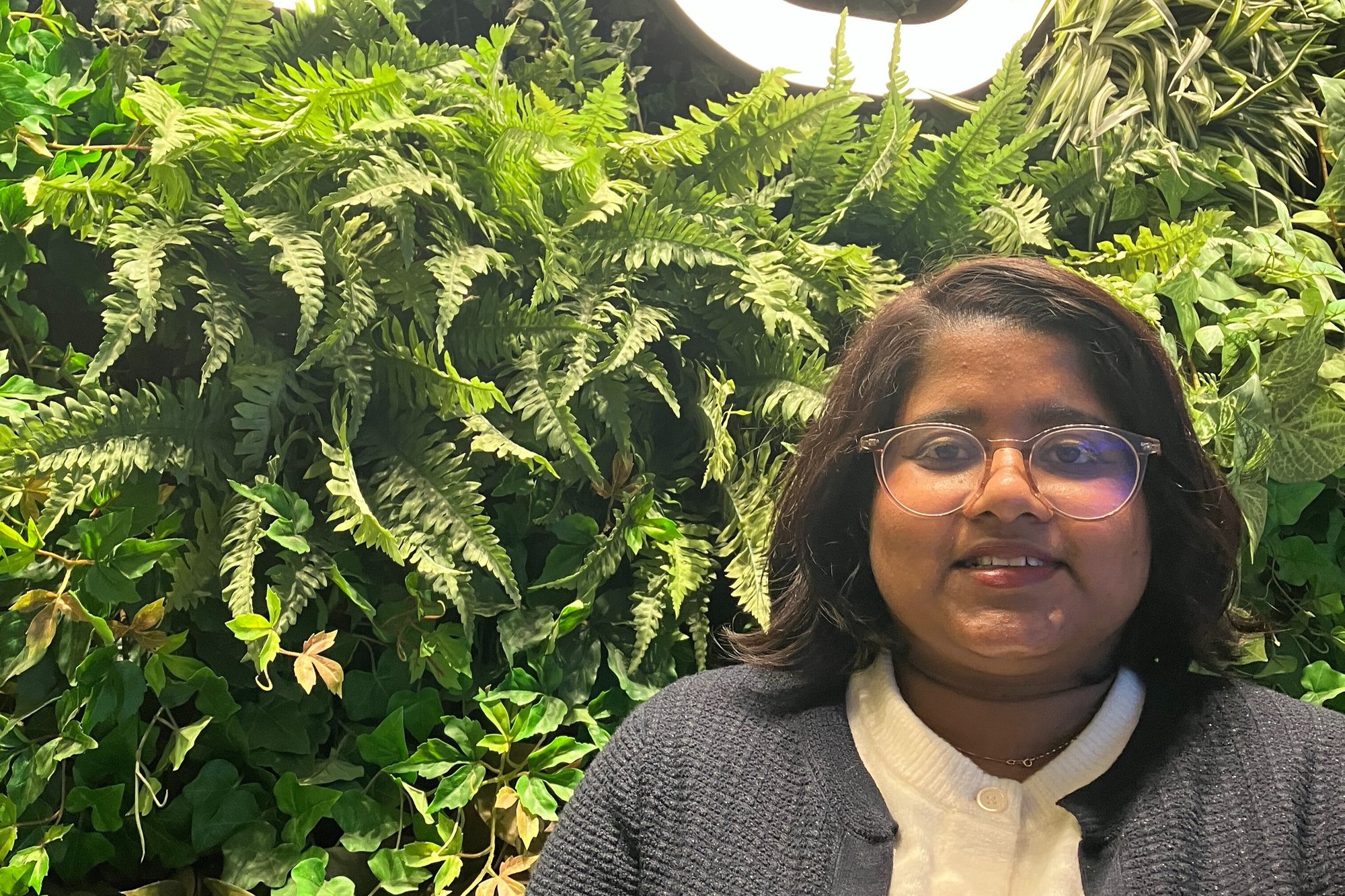 8b7de99f-c68b-4477-8686-62c41b25ca78